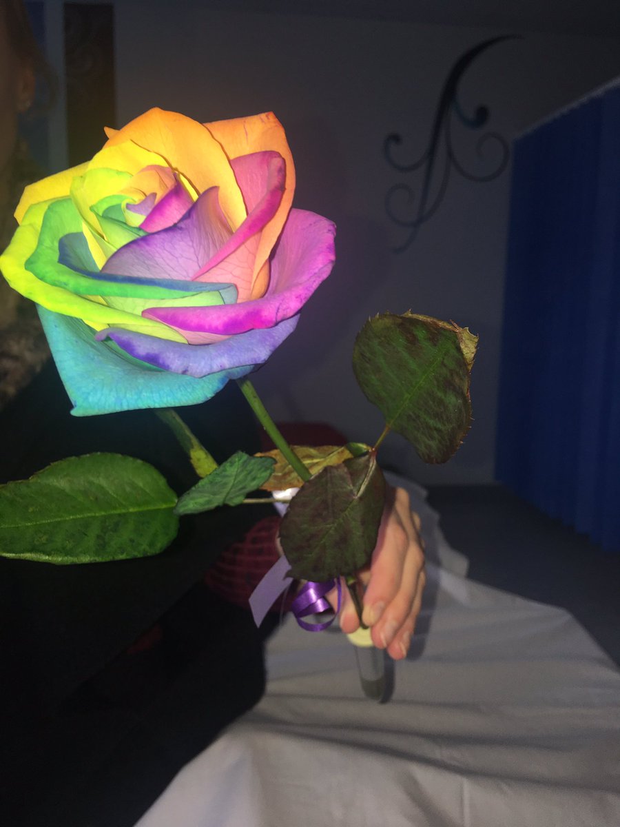 4BILLY4's tweet photo. I’m spending my 22nd birthday in hospital at Cambridge and I just wanted to give a little love to my 6 year old cousin who delivered me this hand-painted rose to my ward all the way from Derbyshire. The little things are special https://t.co/OhiR6kdiWL