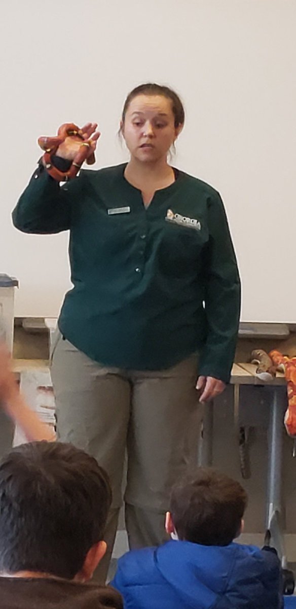 ccsd_wasdin's tweet photo. Slytherin Into Snakes #TomeCon2019 #smithgallwoods
Kathy Church was fantastic! So informative and entertaining @ClarkCreekSTEM @LisaBoysen @RPriepke #beabird https://t.co/RZLqAbgoxR