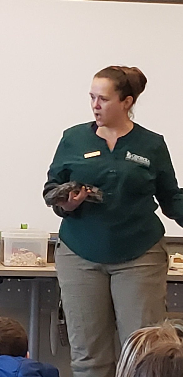 ccsd_wasdin's tweet photo. Slytherin Into Snakes #TomeCon2019 #smithgallwoods
Kathy Church was fantastic! So informative and entertaining @ClarkCreekSTEM @LisaBoysen @RPriepke #beabird https://t.co/RZLqAbgoxR