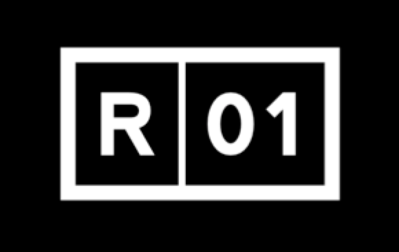 R01 #reality01 tweet media