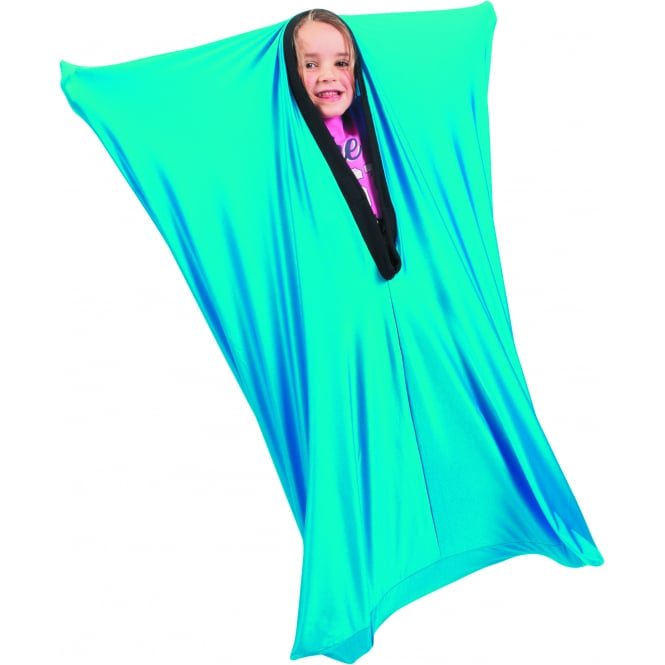 ASDVisualAids's tweet image. bit.ly/occupational_t… We stock an excellent range of #OccupationalTherapy products, perfect for children. Wobble cushions, body sox, fitness dice, and timers. #SENResources