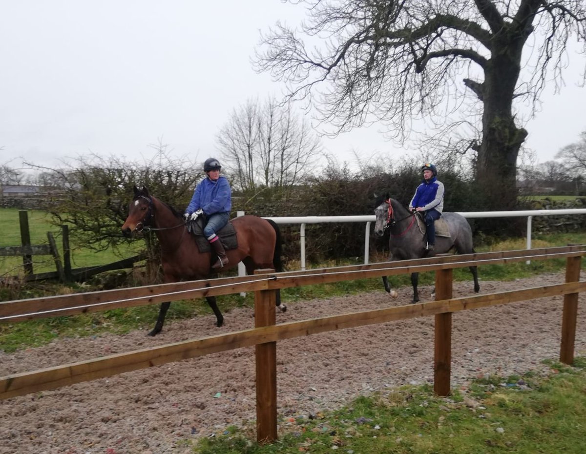 NoelNlwilson69's tweet image. #Gutaifan 2 year old, taking a lead off Hayward Field, #brilliantly #levelheaded #laidbackjack shares still available in this exciting boy!