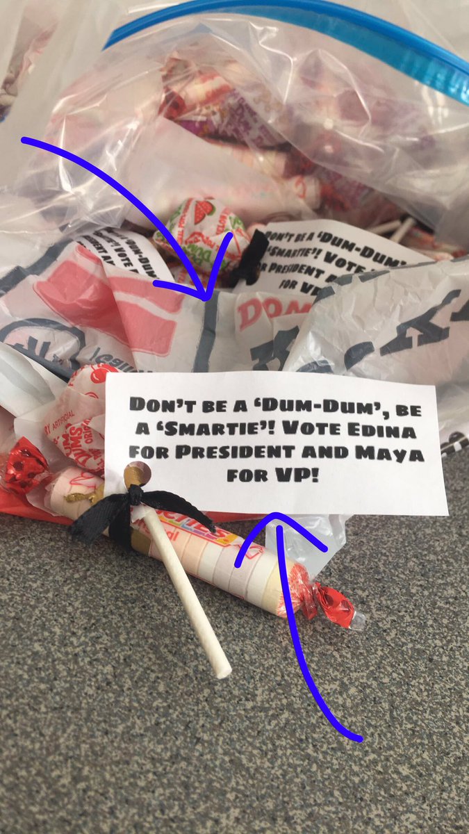 maya_winkel's tweet photo. Don’t be a dum-dum, be a smartie!
Vote Edina for president and Maya for VP https://t.co/oHt0uGmi9f