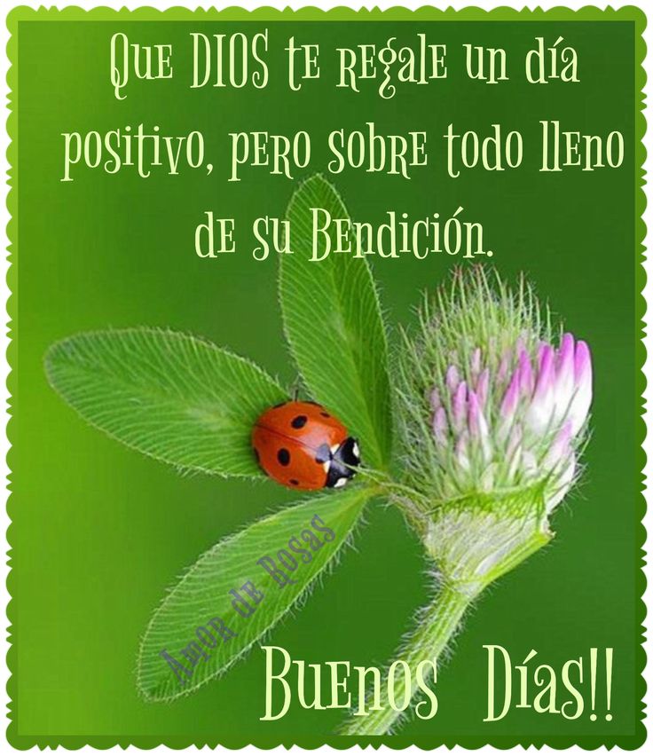 Sueños de Poemas® on Twitter: "Gracias Heidi, feliz día para ti,  Bendiciones ????… "