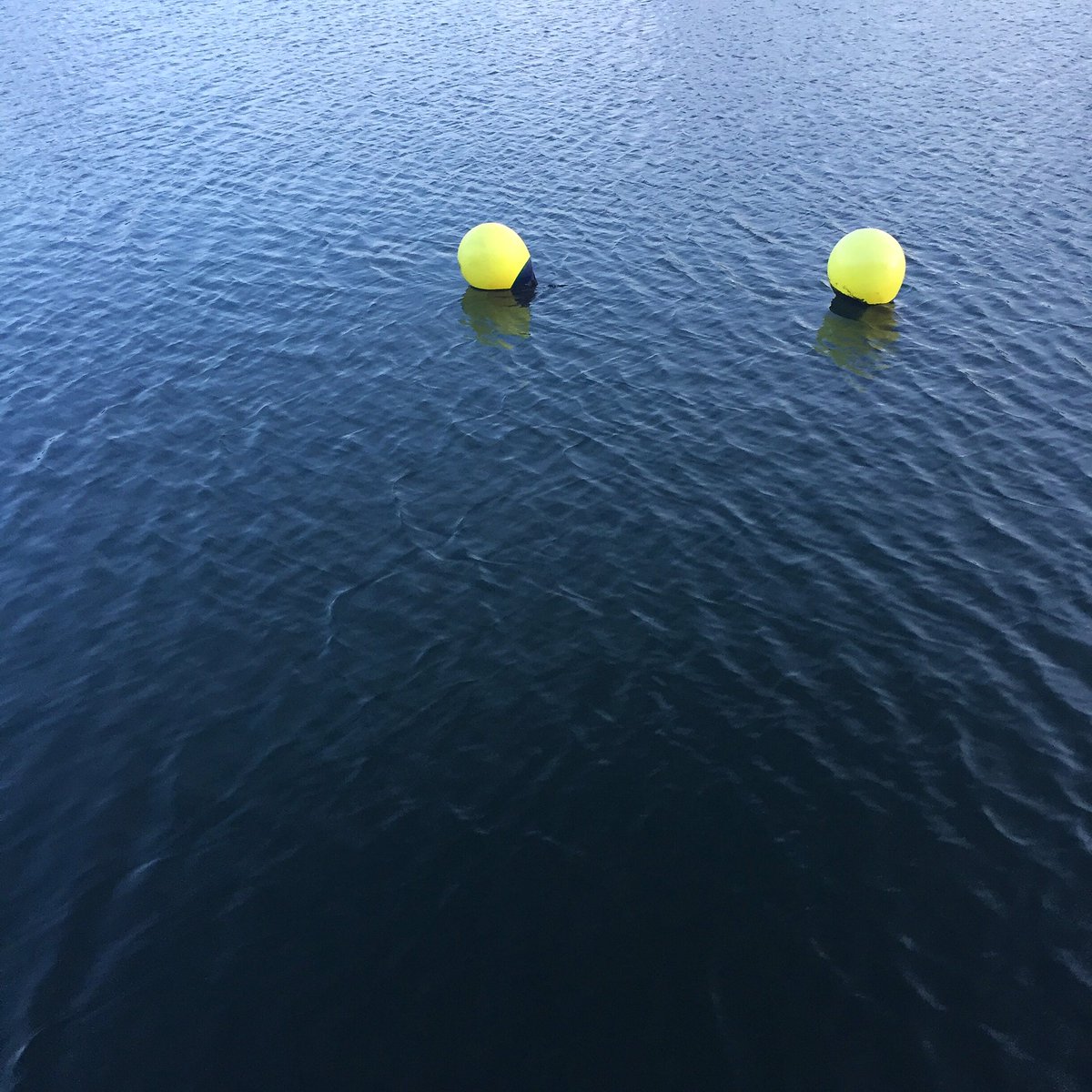 Unusual buoys fab colours 🎾🙌 #lime #buoys #buoy #colourpop #colourinspo #sea #seainspired #citybuoys #colour #ocean #scotland #costal #costalcolors #vitaminsea #textiledesign #scottishdesign #dundeedesign #dundee #scottishdesigner #knittinginspiration