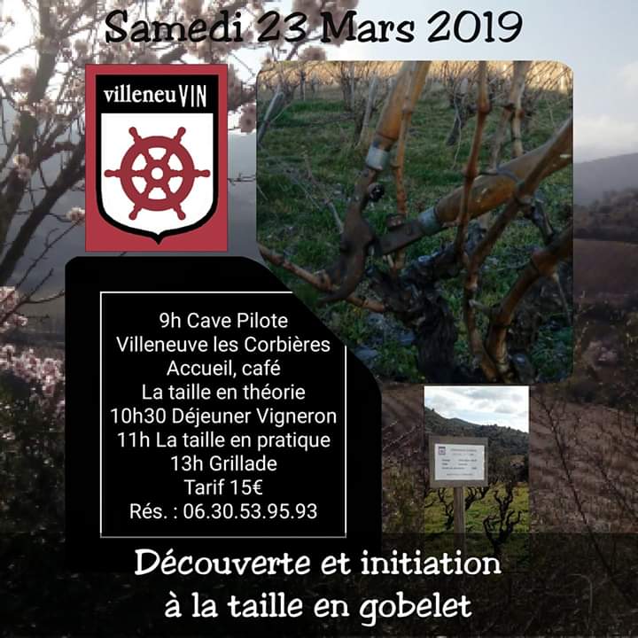 Découverte de la #taille en #gobelet à #Villeneuvelescorbières
Pensez à vous inscrire 
#Fitou70