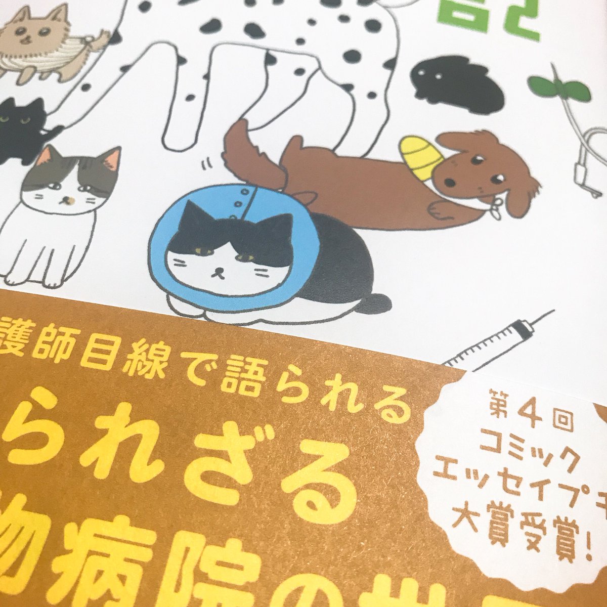 見本誌届きました?手ざわりさらさら…背表紙かわいい 