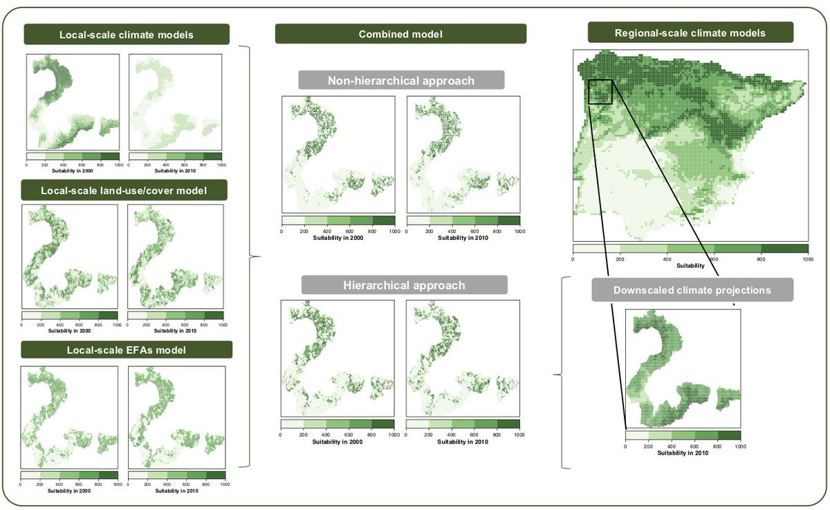 AdrianRegosSanz's tweet image. New #ECOPOTENTIAL paper on &quot;Effects of species traits and environmental predictors on performance and transferability of ecological niche models&quot; @ECOPOTENTIALprj nature.com/articles/s4159… #EcosystemFunctioning #SDMs #RemoteSensing #birds
