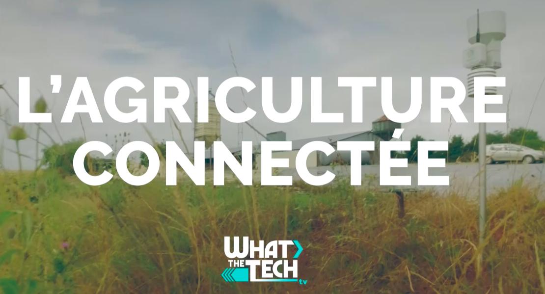 📺 #WhatTheTech TV 

Nouveau podcast du @CAStore_byCA sur l'#Agtech 👩‍🌾 (thématique mensuelle) avec le reportage au <a href="/villageCAav/">Le Village by CA Atlantique Vendée</a> lors de la journée dédiée à l'innovation dans l'#agriculture
 
🎬 bit.ly/2u3Rm9c 

<a href="/villageCAav/">Le Village by CA Atlantique Vendée</a>