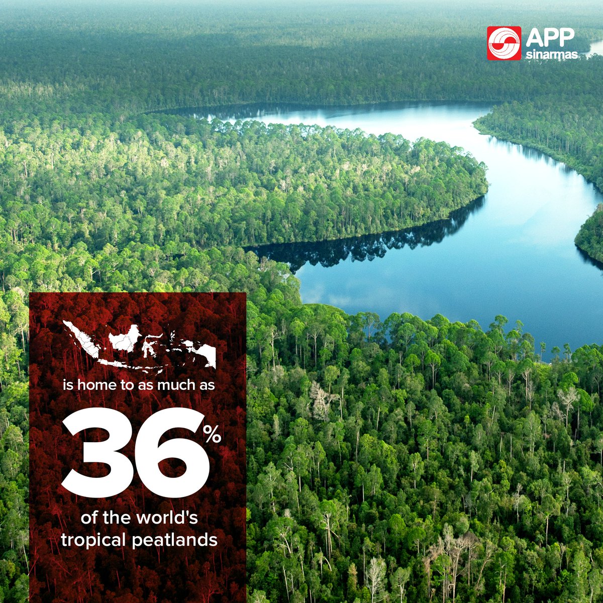 APP Group tweet media