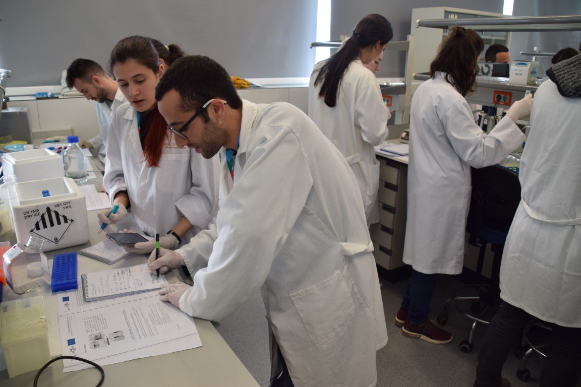 CIPFciencia's tweet photo. Lab session at @UBI_CODE @red_ubi course. #EUCollaboration to drive #science #ubiquitin #biology #CancerResearch #H2020 this week at @CIPFciencia https://t.co/SEeZFJk8QO
