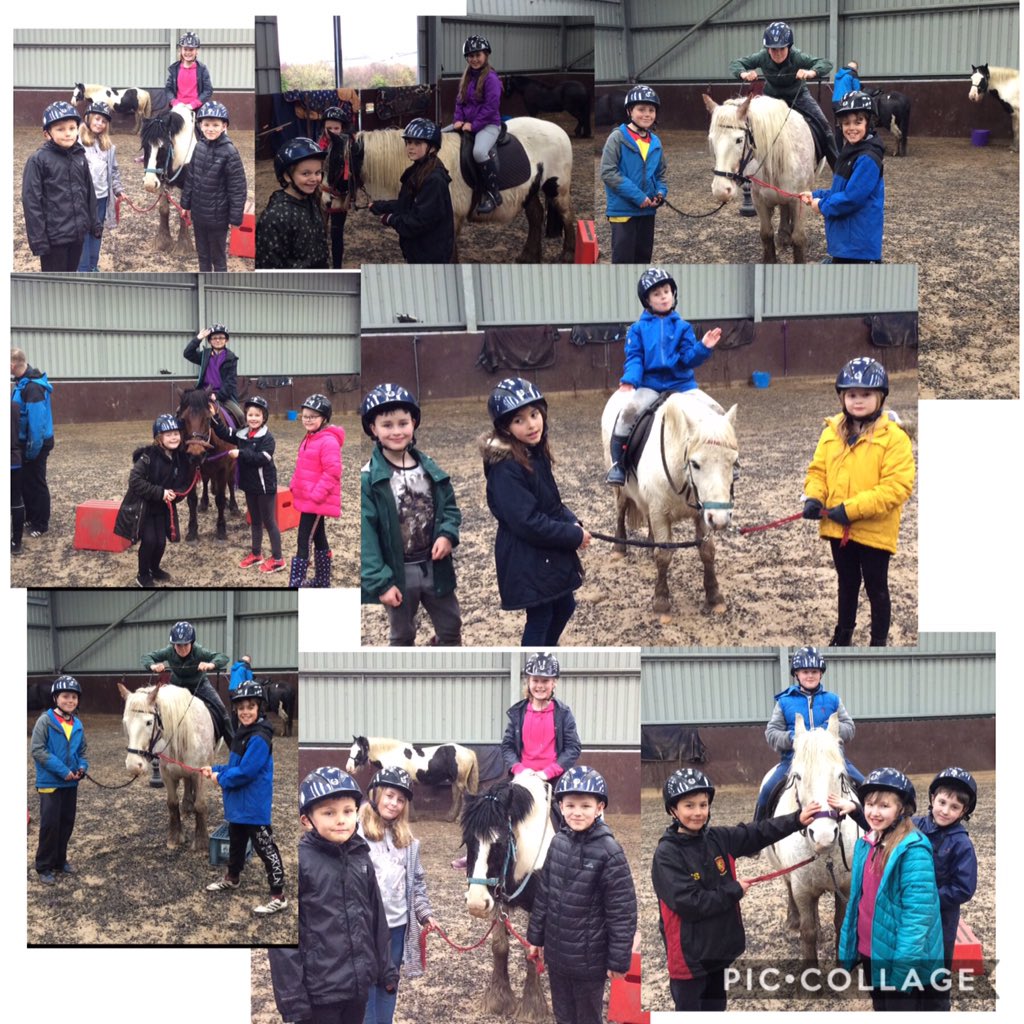 Grange Primary tweet media
