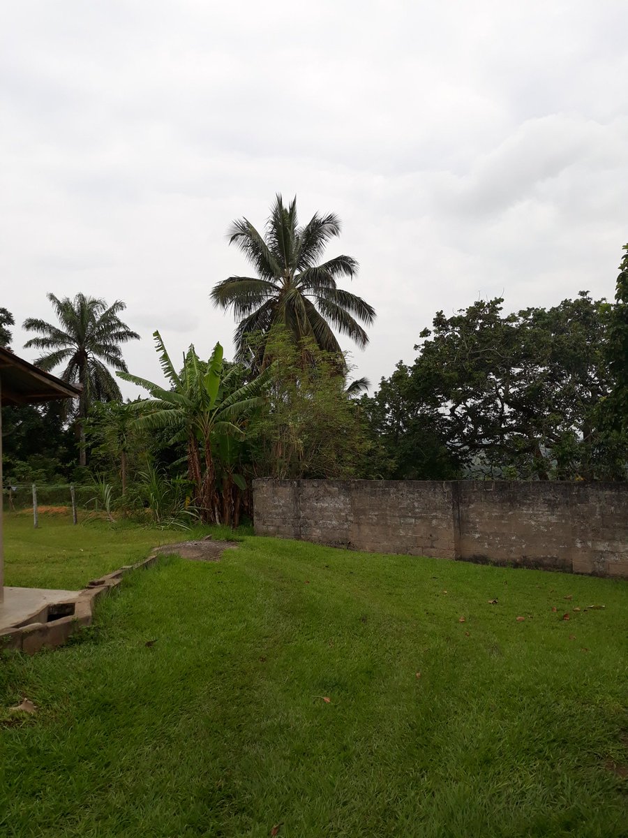 SagittaireTours's tweet image. Kisantu....pour une retraite, team building...etc 

#DRCmycountry #RDCmonpays  #kisantu