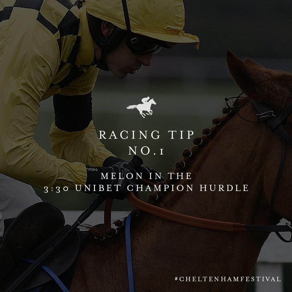 Cheltenham Gin tweet media