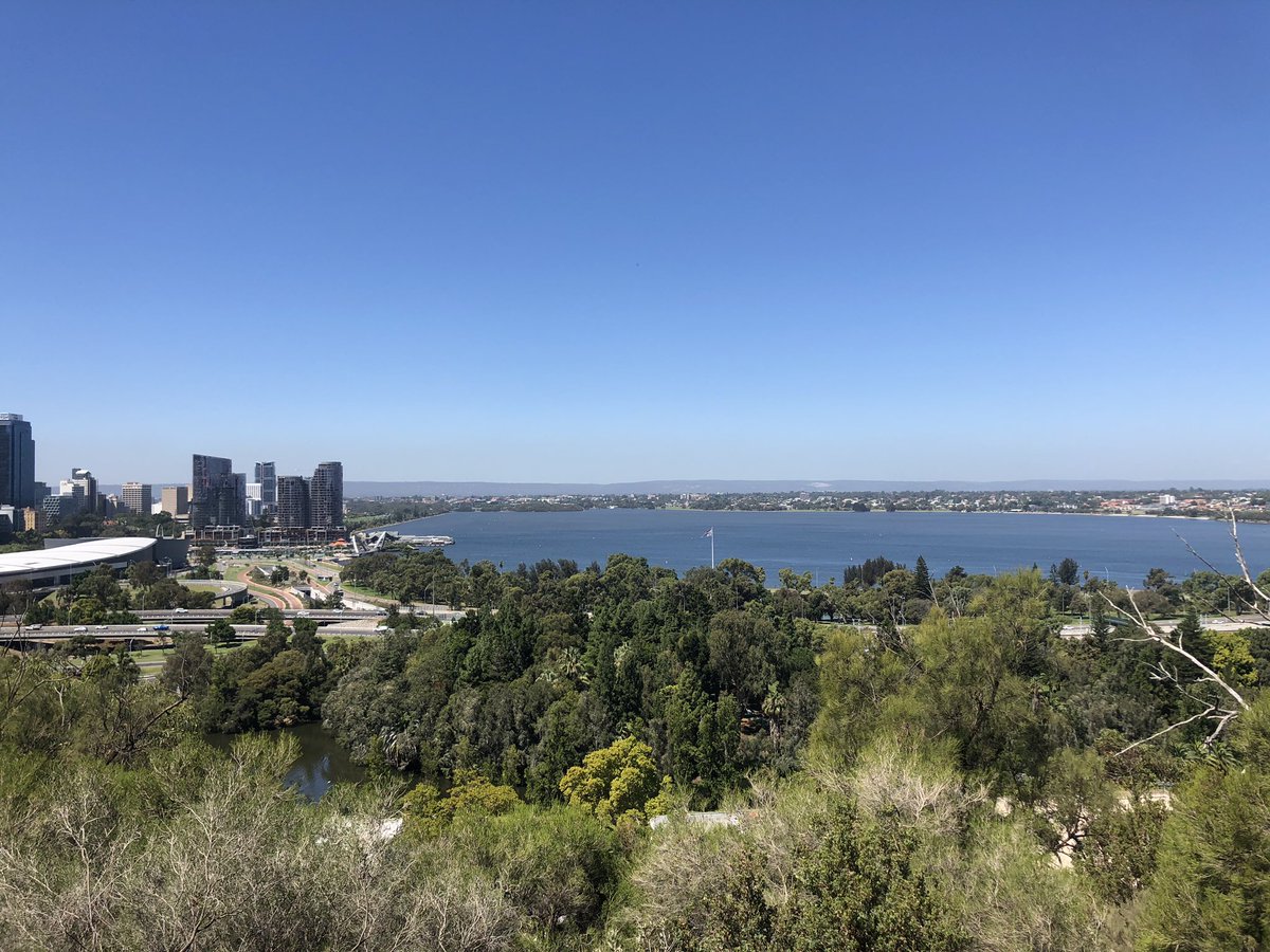 FlashOConnor's tweet photo. Taking time out of my busy schedule to visit Perth, see the sights and pay $25 for two pints #TheySawTheDumbPaddyComing https://t.co/4Sf3HCcaZG