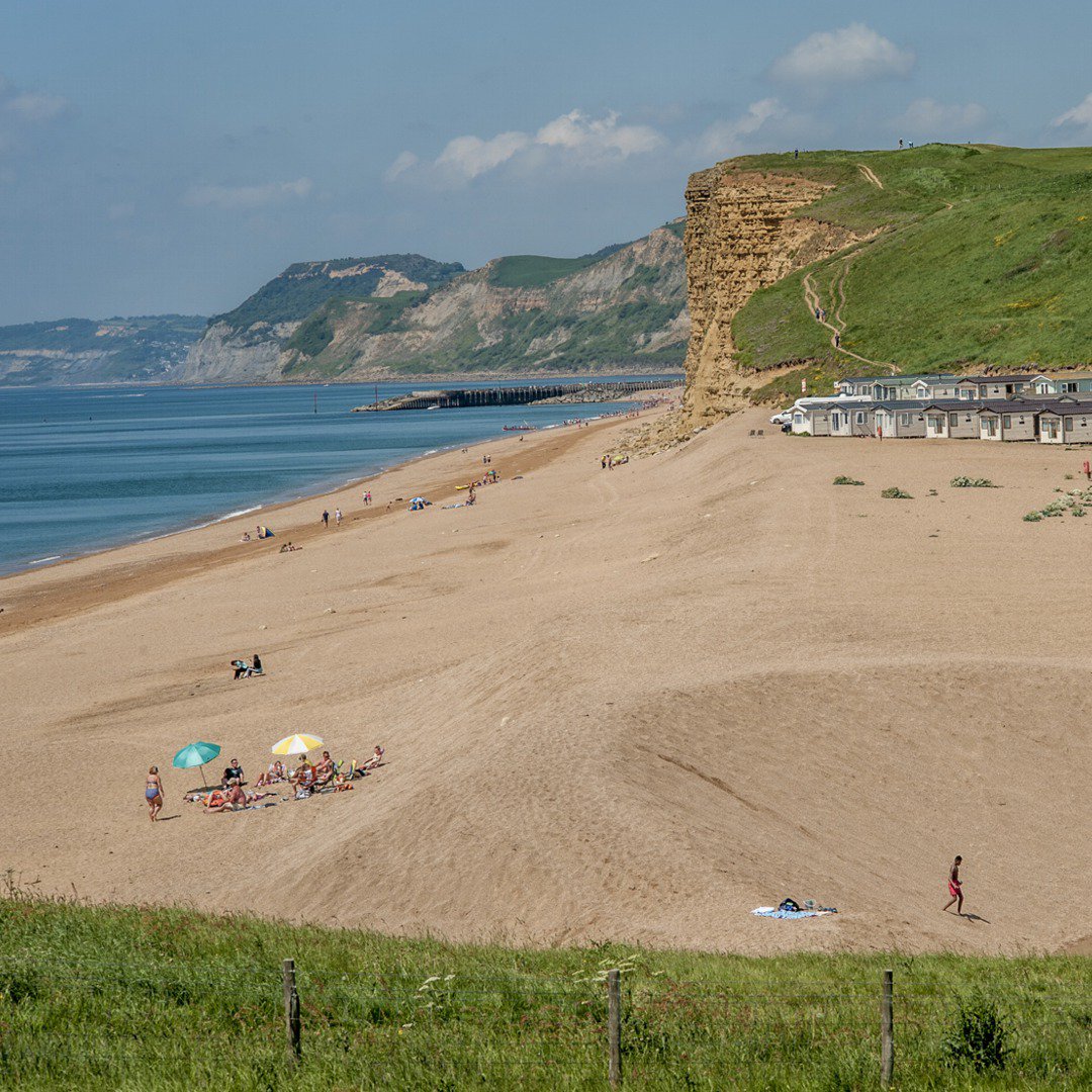 Freshwater Beach tweet media