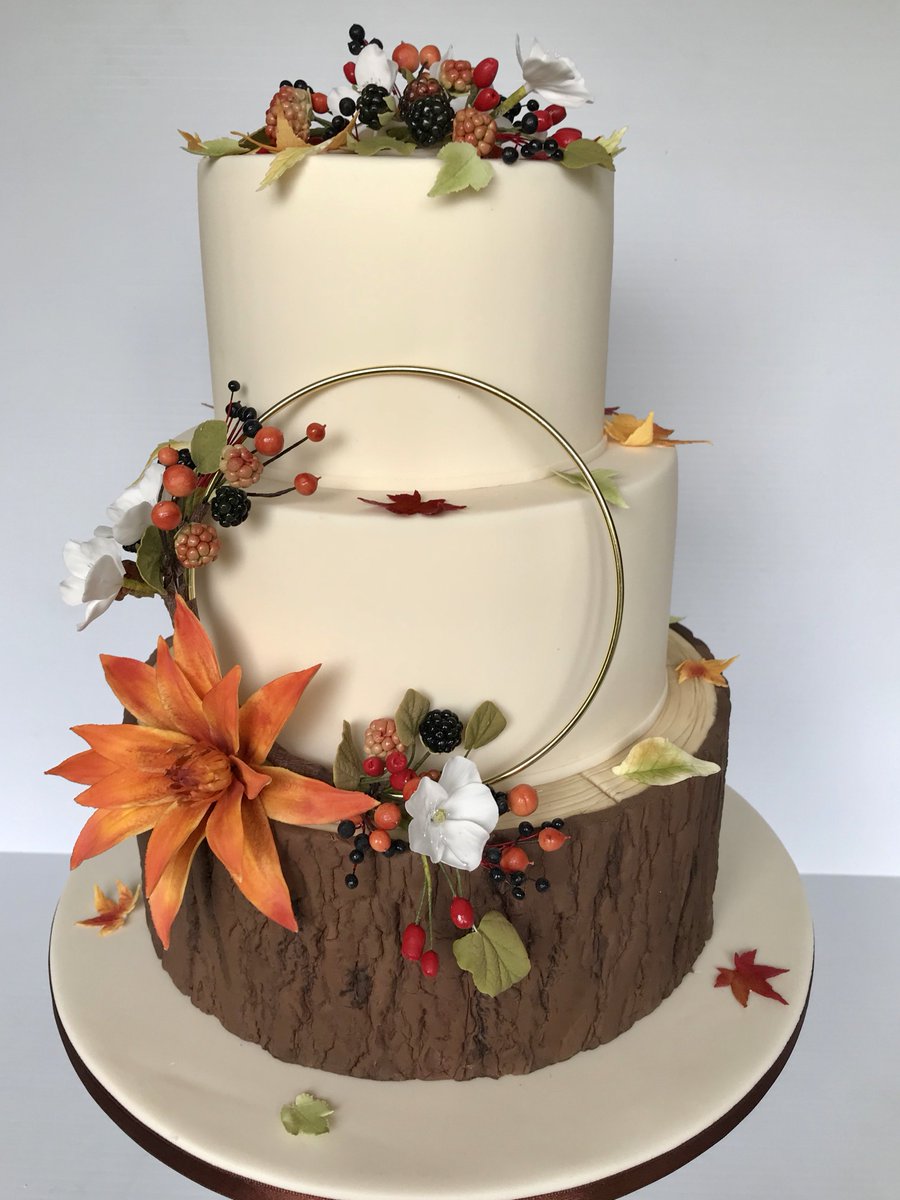 cakes_sharon's tweet photo. Autumn themed wedding cake suits today's weather!
#sugarflowers #barkeffect #Goldhoop #sharonlordcakes https://t.co/4LKjamtbZC