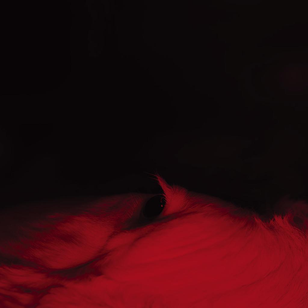 iPatxi's tweet image. Hannot Mintegia musikariaren #Moxal proiektu musikala ezagutu ostean, gehiago sakontzeko prest
Atsegin ditut musika testura eta giro hauek

mox.al