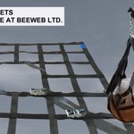 Photo by BeeWeb Limited (@BeeWeb_Limited)
