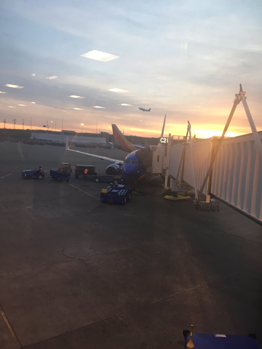 TeacherKJones's tweet image. “All our bags are packed, we’re ready to go!”

Thomas’ first plane trip! ✈️ #morepicstocome #FLbound