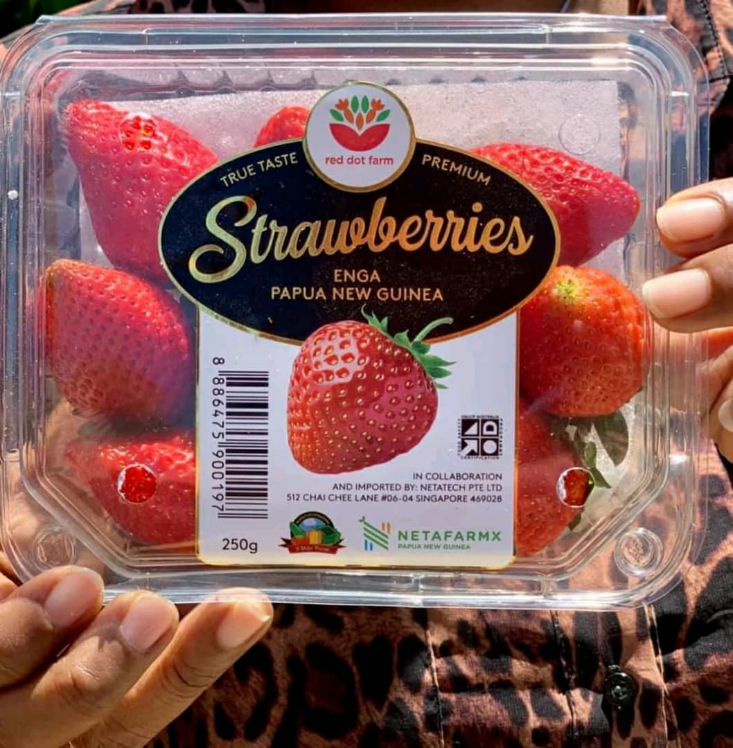 goproductslimit's tweet photo. Locally grown Strawberry from Enga,  Papua New Guinea found in a Singapore grocery store.  Agribusiness has leaped. https://t.co/nY8j6Sbti1