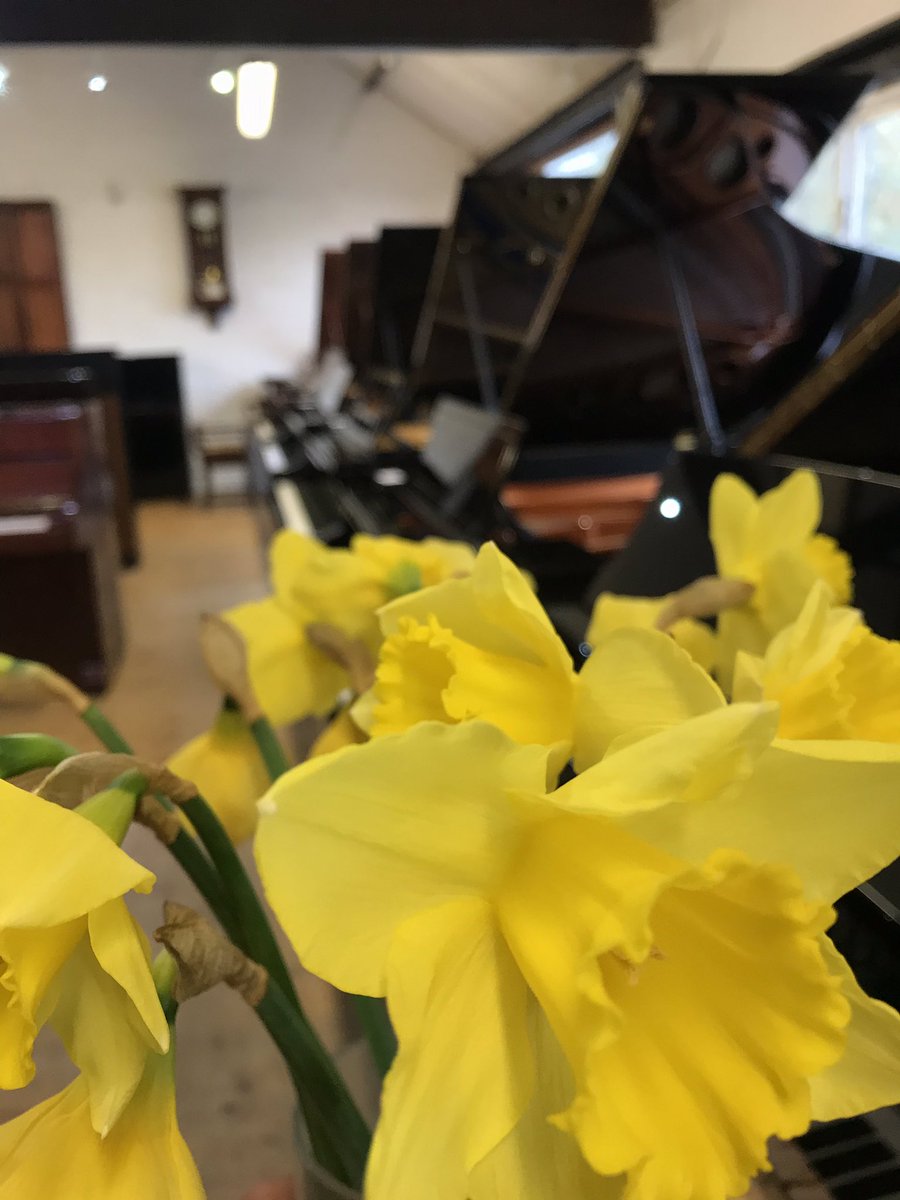 Springtime at Yorkshire Pianos!