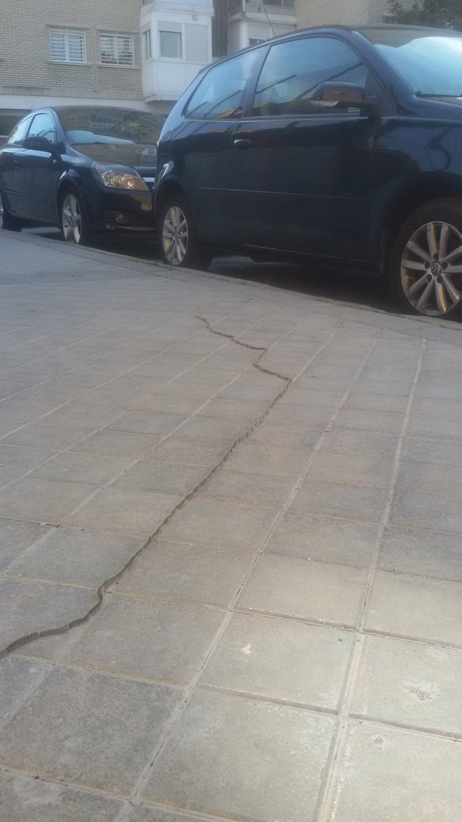 mabidiaz's tweet photo. Esto pasa en #Moratalaz. Por favor #juntadistrito #ayuntamiento #Madrid haced algo aunque en teoria no sea la época aún. #peligroparaperros #procesionarias https://t.co/zYwe5mfusP