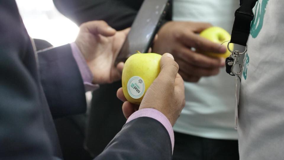 FoundeverAfrica's tweet image. Les grandes favorites du bien être, des pommes bien vertes à pleine maturité 🍏🍏 les meilleurs nutriments qui vous aident à rester en forme.
Eat well, live well !
#SitelFit #SitelAfrique