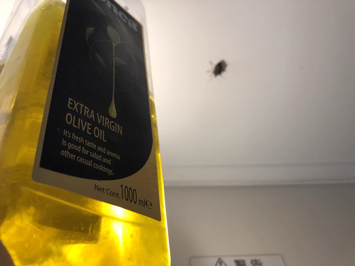 カメムシの臭いを取るのに使えるのはまさかのアレだった！！