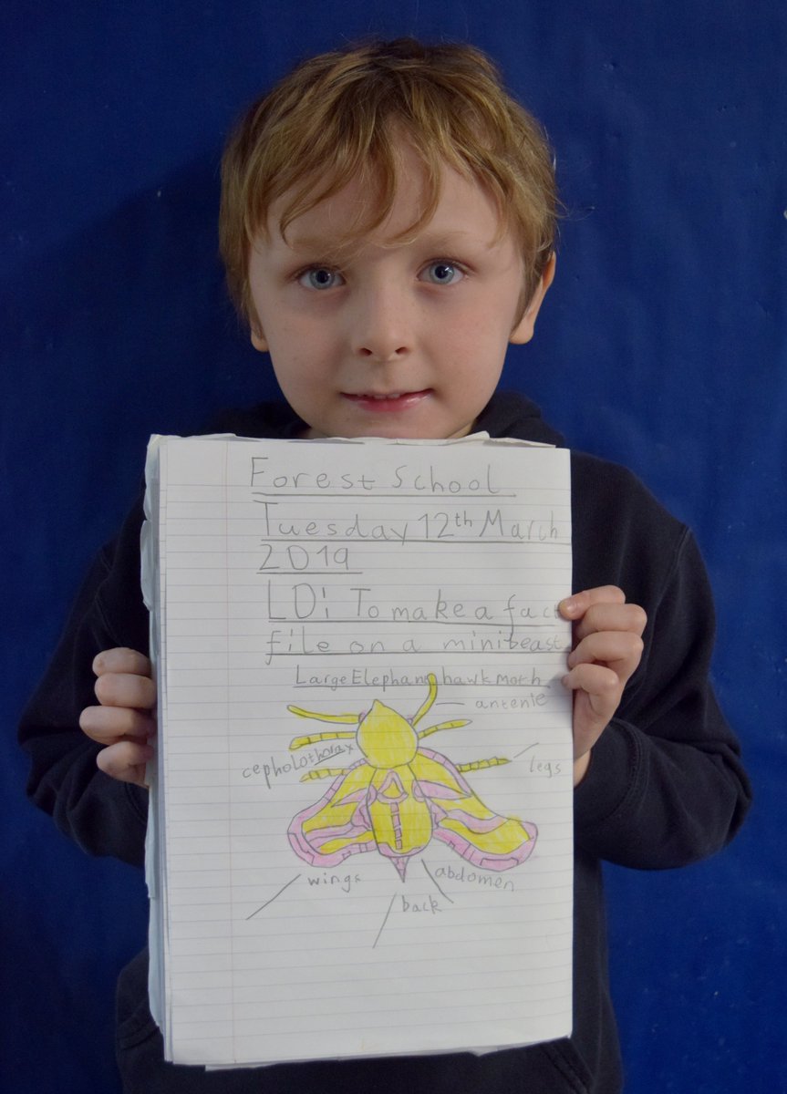 OLS Year 2 tweet media