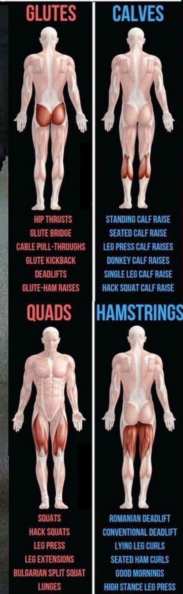 PaulaMaier3's tweet photo. Gravity is cruel as you age.
Fight back!
Work your quads, gluteus,calves and hamstrings!
I’m not going down without a fight💪🏼‼️

#workout #legday #glutes #buttmuscles #legs #aging #fitafter50 #weightlifting #muscle #gym #springbreak #bathingsuitseason #metabolism #vacation https://t.co/mKPjaZJWxt