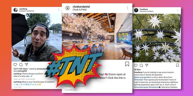 DelosInc's tweet photo. It's Tech News Tuesday #TNT! #Instagram is a visual #socialmedia platform. Strong imagery grabs your audience's attention, but great captions can drive your #business. #smallbusiness #digitalmarketing #smallbusinessmarketing #marketingtips https://t.co/X3EOVUvOkI https://t.co/MIQKvuwccb