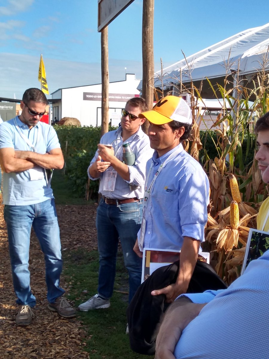 NideraSemillas's tweet photo. ¡Tenemos tantos productos para mostrarte que hasta sembramos dentro de la carpa! ¡Vení a @Expoagrocom y conocé el espacio que preparamos para vos! https://t.co/KsHmcMivpm