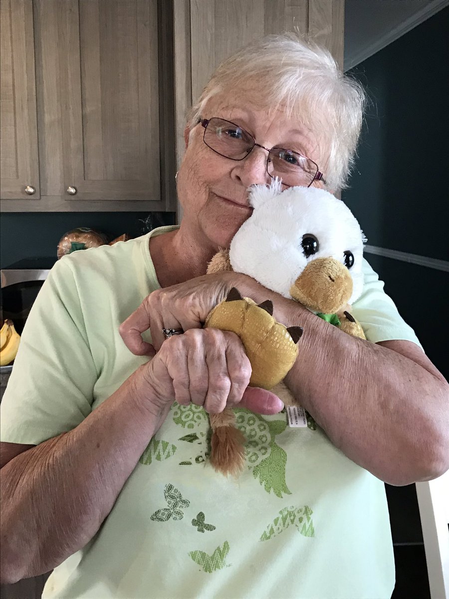 Jodi Patterson tweet media