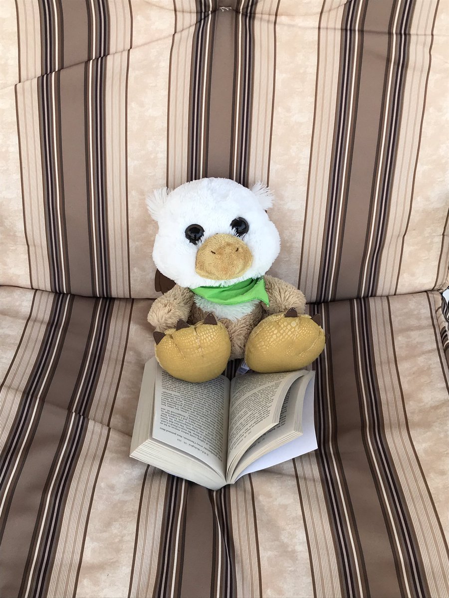 Jodi Patterson tweet media