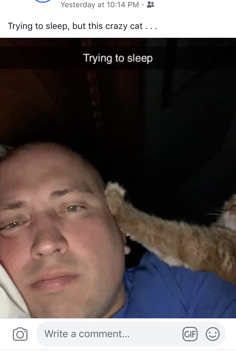 WilPhil62's tweet photo. My dad didn’t want another cat but now all he does is post photos of them doing random things on Facebook https://t.co/oKRSovV6BX