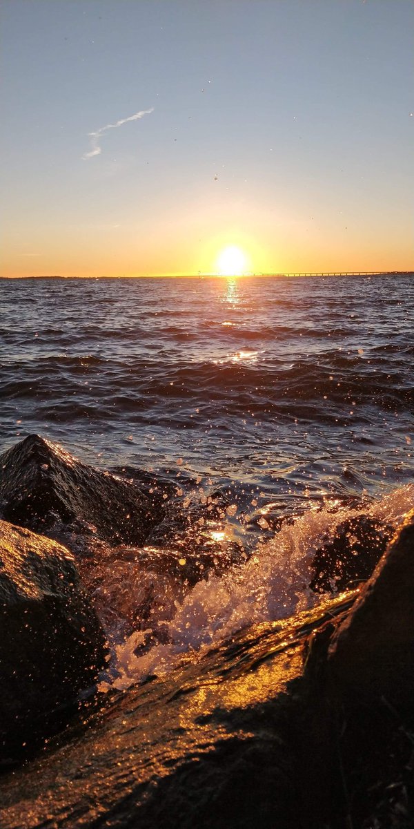 ekimedias tweet media