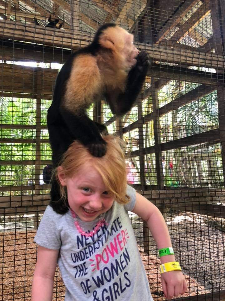 2ksRoatan's tweet photo. #westbay beach #mahoganybay #islandtour #carnivalcruisers #mahoganybay #Roatanexcursion #sloth #monkeys. https://t.co/MSFd7Ieqjc
