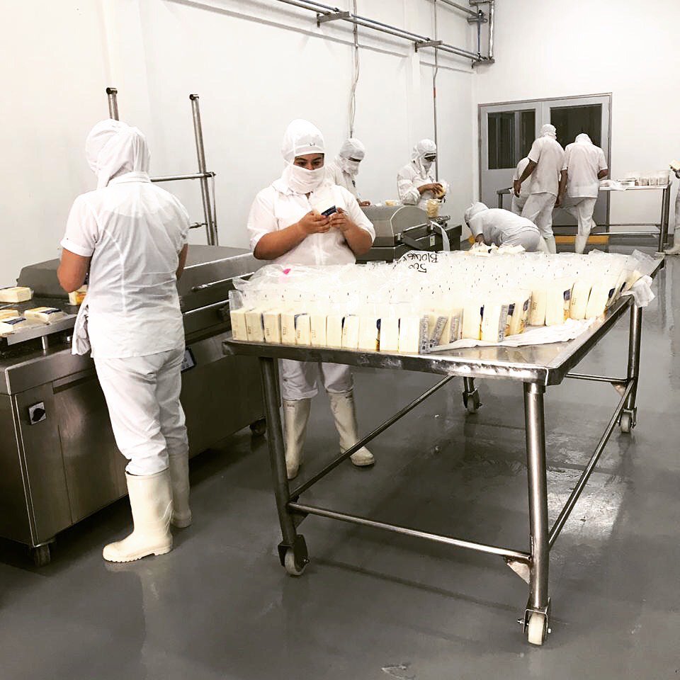 QDelVecchio's tweet photo. Nuestro primer lote de producción 🧀 en nuestra nueva planta de producción 🏭 en Tocancipá. Nos sentimos como niños estrenando juguete 😁. #tocancipá #queso #quesopera #saludable #martes #felicidad #queseria #quesofresco #bogota #healthyfood https://t.co/kDErQ2XQU1
