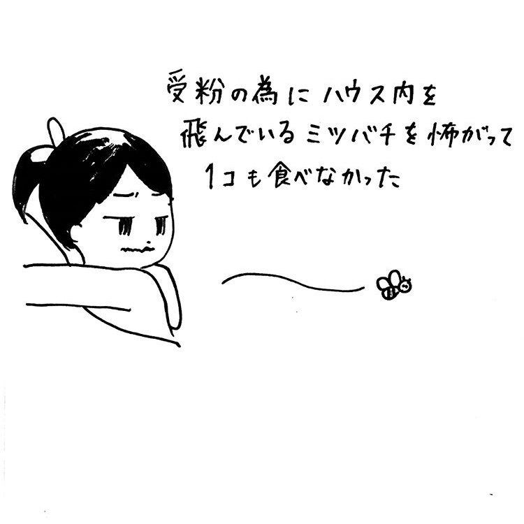 いちご狩り楽しい!皆が夢中で食べてる中、いちご大好きな次女はひとつも食べなかった。蜂?怖かったね。長女7歳次女3歳の頃。 