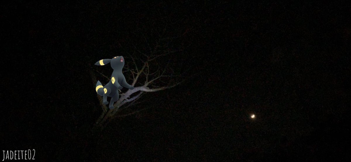 corundumjade's tweet photo. 《三日月と月の獣🌙✨》
久々の月光浴は邪魔者の居ない木の上で🌙(◕ ˑ̫◕)🎶
#PokemonGOar #PokemonGOarplus #GOsnapshot #ポケモンGO #PokemonGO #祝AR勢歓喜のAR写真大会 #ブラッキー #Umbreon #三日月で月光浴 #CrescentMoon #Moonlightbath https://t.co/wLfkW2G9ET