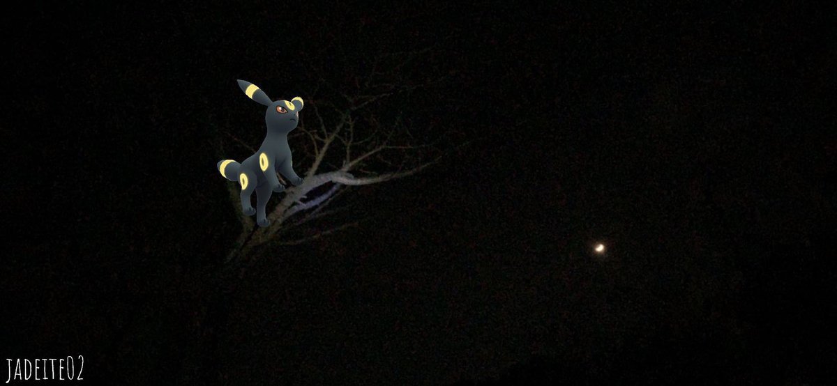 corundumjade's tweet photo. 《三日月と月の獣🌙✨》
久々の月光浴は邪魔者の居ない木の上で🌙(◕ ˑ̫◕)🎶
#PokemonGOar #PokemonGOarplus #GOsnapshot #ポケモンGO #PokemonGO #祝AR勢歓喜のAR写真大会 #ブラッキー #Umbreon #三日月で月光浴 #CrescentMoon #Moonlightbath https://t.co/wLfkW2G9ET