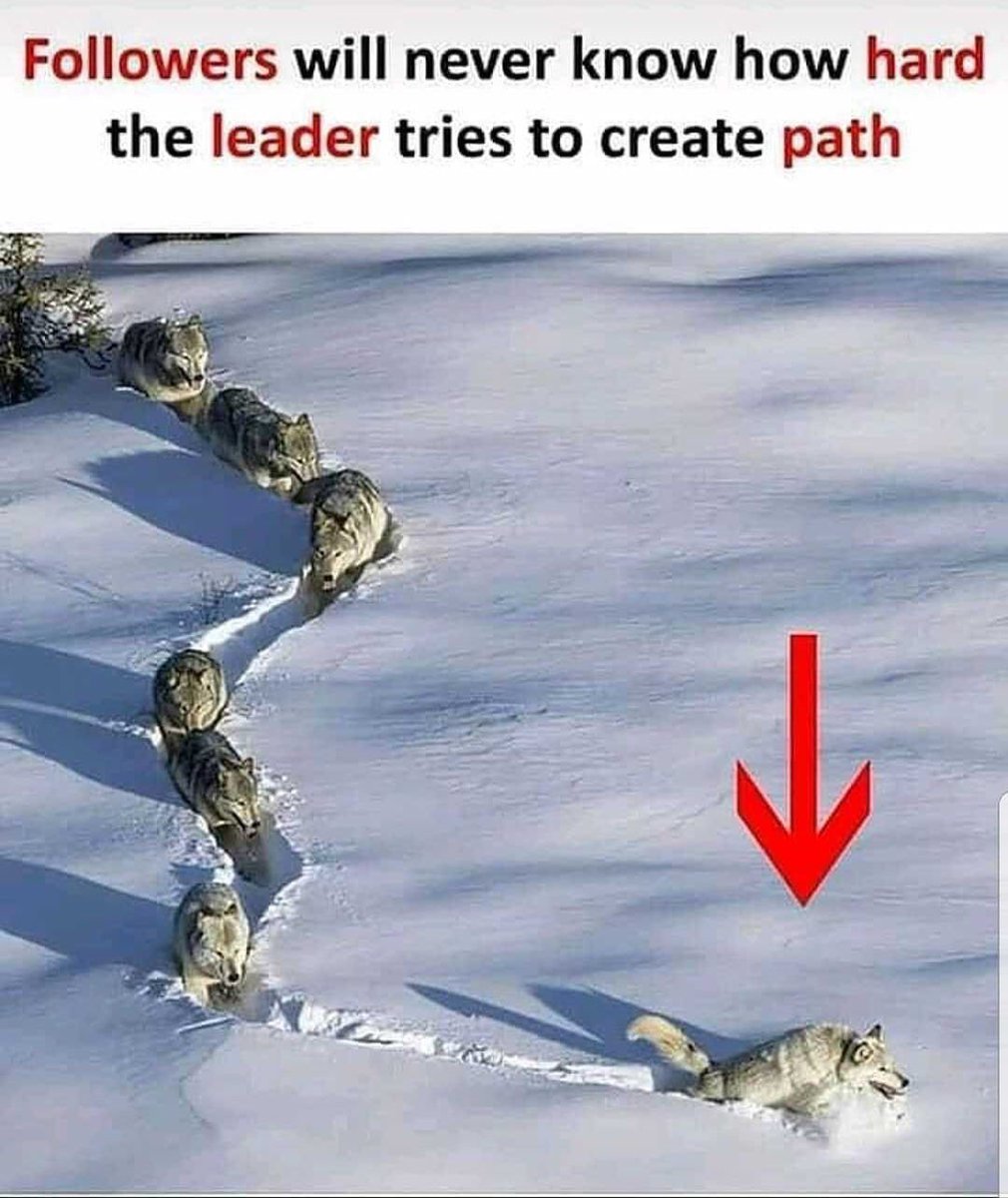 Juliancalvez's tweet photo. Never stop doing your best just because someone doesn’t give u credit #OneGoal #LeadershipMatters #IAM #IWILL #Warrior #QB2022 @WestOrangeFB #ratpakfinest https://t.co/rxAGyzeYog