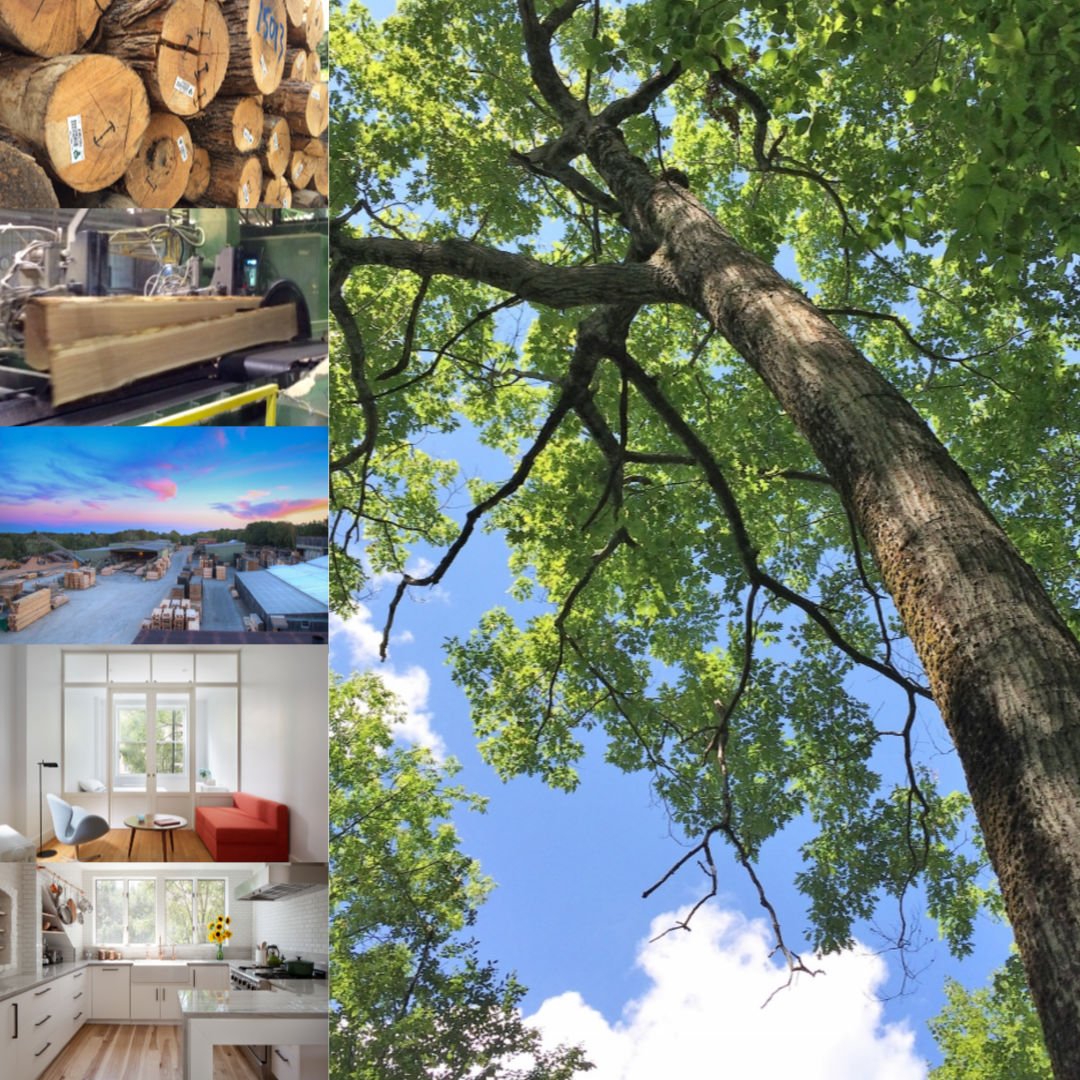 hullforest's tweet photo. We're bringing our forest-to-floor custom wood floors to #adds2019 next week - stop by booth 344 in the Refresh section to learn what makes us #forestproud! https://t.co/PB2tPb9P1r