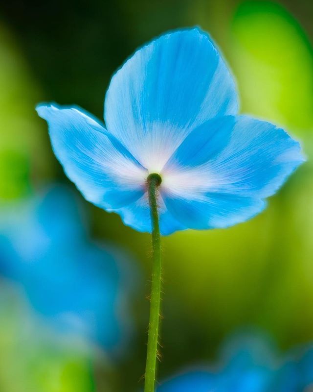 Ed_Heaton's tweet image. Believe it or not, it&apos;s that time of year again :-) edheaton.com - OP/TECH USA
- Singh-Ray Filters
- Really Right Stuff
- X-Rite Photo &amp;amp; Video
- Asolo
- Mountain Hardwear
- Columbia Sportswear | #OPTECHUSAAmbassador | #ImageMaster | #Hoodman … ift.tt/2F5Kv5g