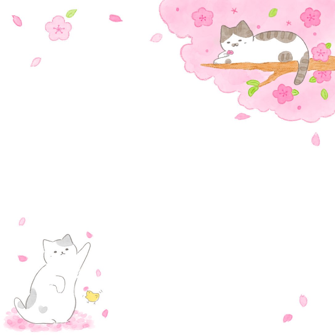 studio_nangnang's tweet photo. 벚꽃벚꽃한 신상 메모지들😚🌸 https://t.co/OfzsIhDgDE