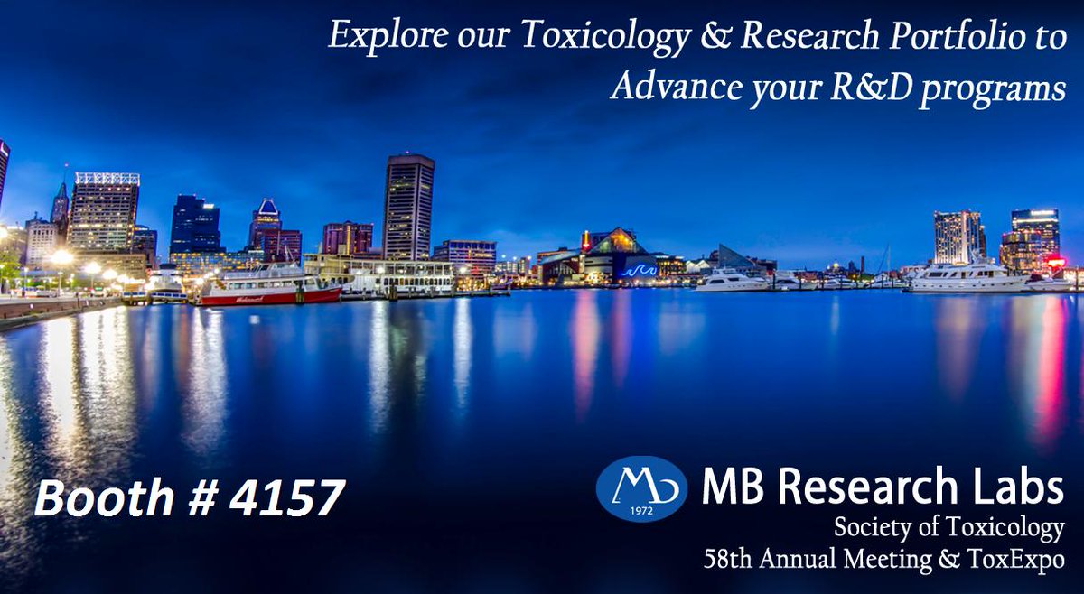 MB Research tweet media
