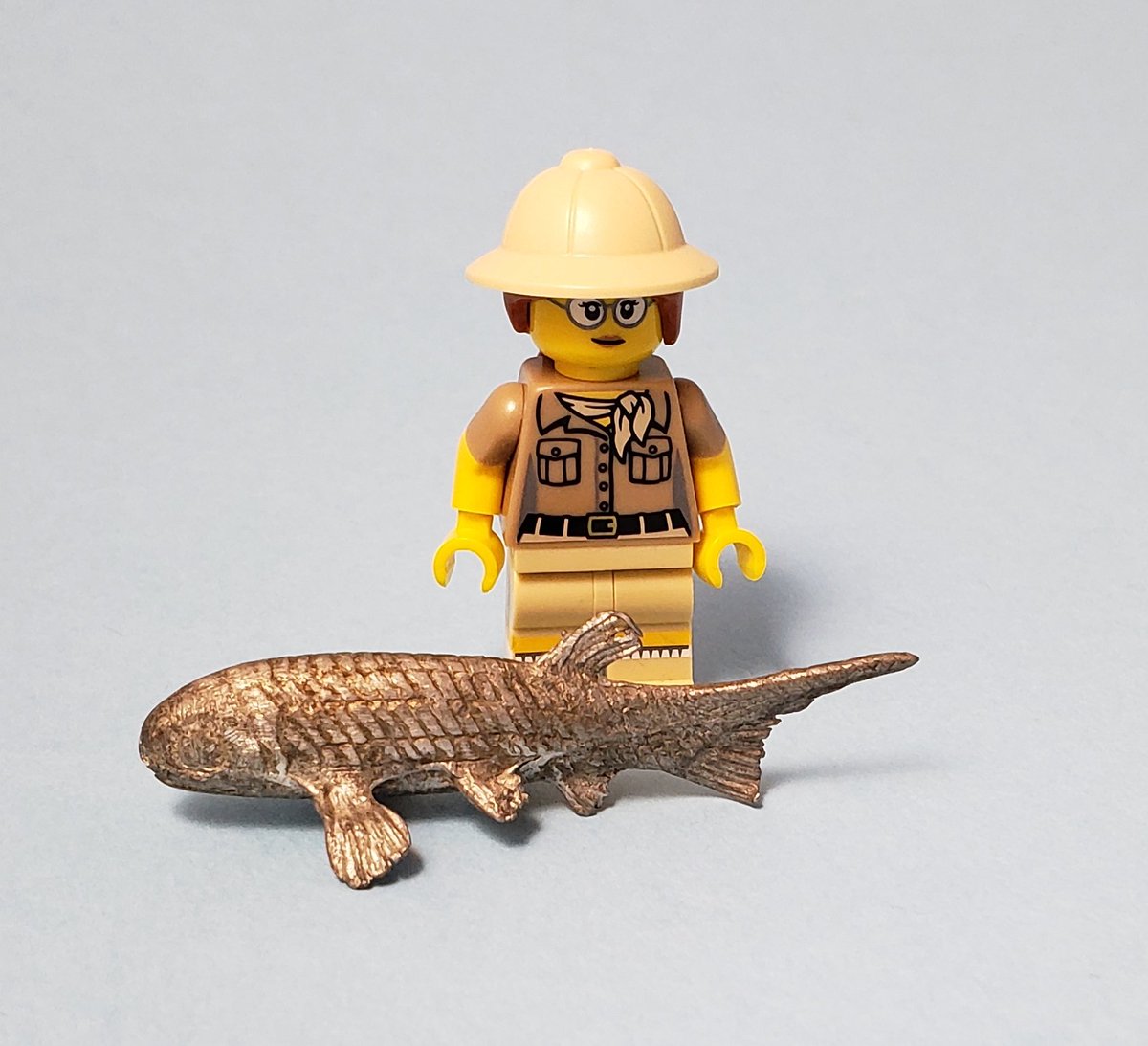TimDrawsFish's tweet photo. This tiny lead(?) fish came from the R Rush workshop near Chicago, and has enough detail that I think I can call it Microhaplolepis ovoidea (Lowney 1980). Paleo fish folks, confirm or refute? #ToyFishTuesday #actinopterygian https://t.co/VRU8sUcFz7