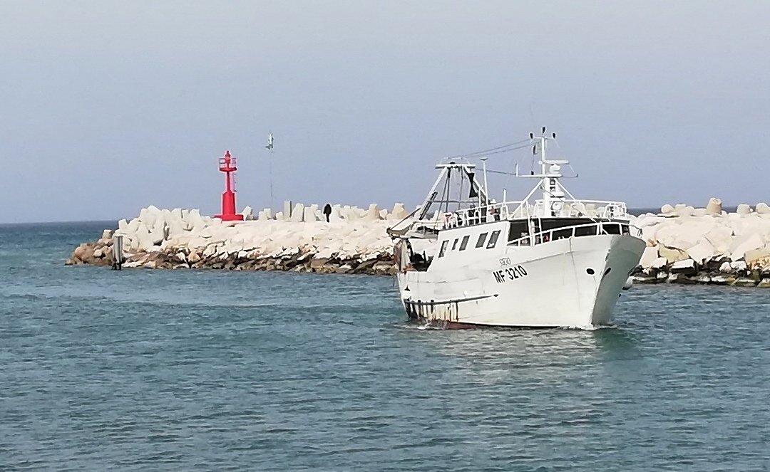 StefProp's tweet image. #cartolinedafano