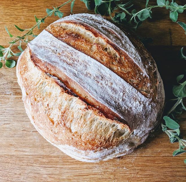 SuttonPoint's tweet image. Looking for local baked goods? Plantissimo in Sutton has everything you need with its wide range of plant-based breads and other baked treats. 

📷: @plantissimo1